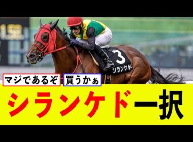 「新潟記念、シランケド一択」に対するみんなの反応集