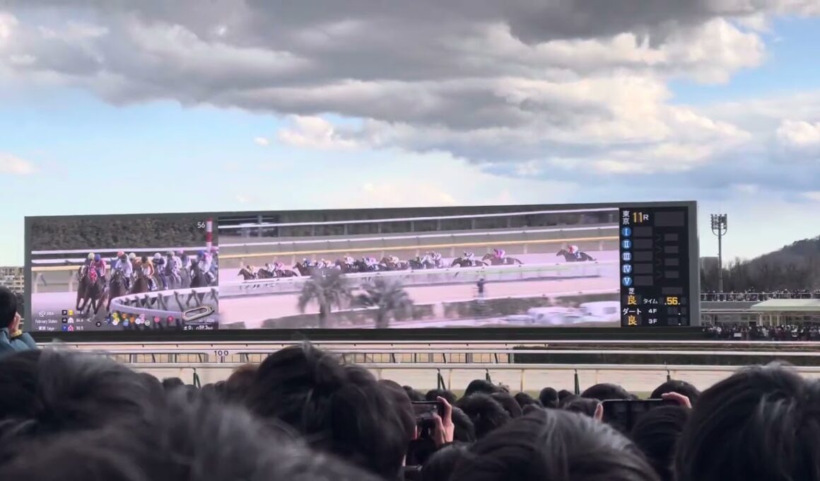 【現地映像】2025年G1開幕戦　フェブラリーステークス