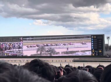 【現地映像】2025年G1開幕戦　フェブラリーステークス