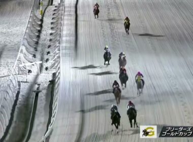 ブリーダーズゴールドカップ