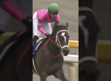 #shorts 2005 NHKマイルカップ #ラインクラフト #福永祐一