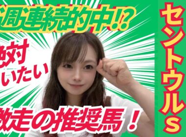 【セントウルステークス2025】スプリンターズSを優勝するために激走が必達の推奨馬とは!?【競馬予想】