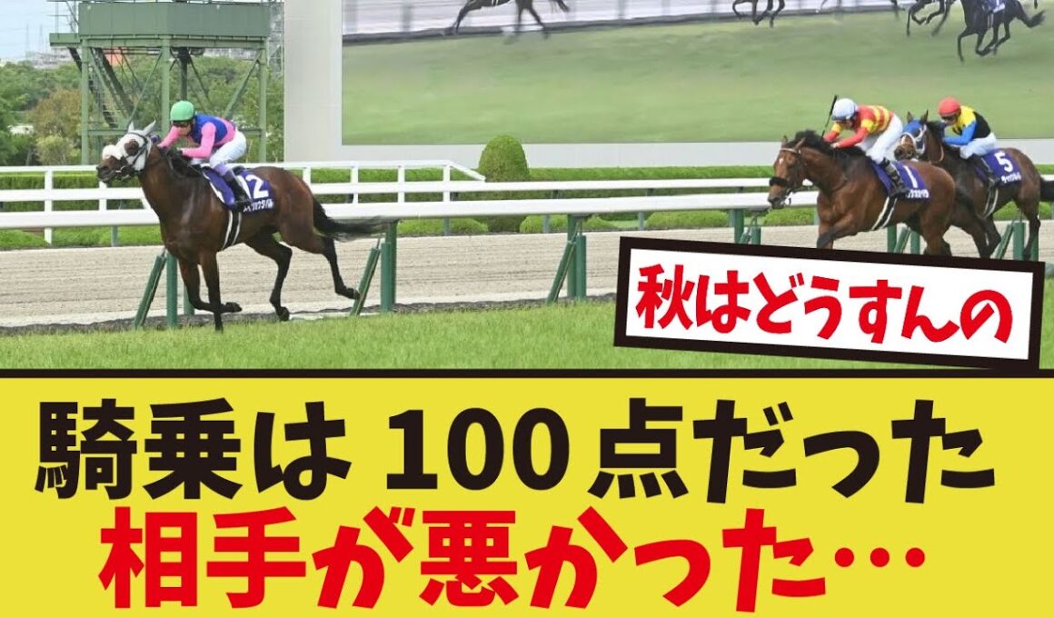 「ベラジオオペラは距離が長かったか？」に対するみんなの反応集