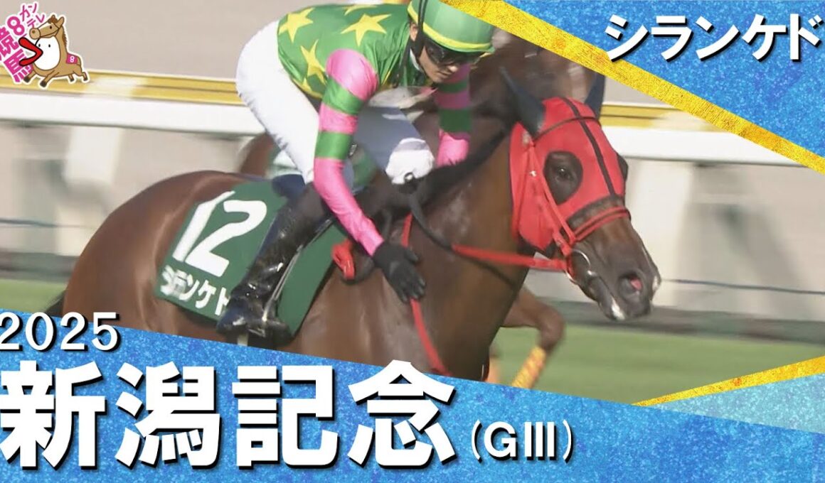 2025年 新潟記念(ＧⅢ)  シランケド【カンテレ公式】