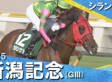 2025年 新潟記念(ＧⅢ)  シランケド【カンテレ公式】