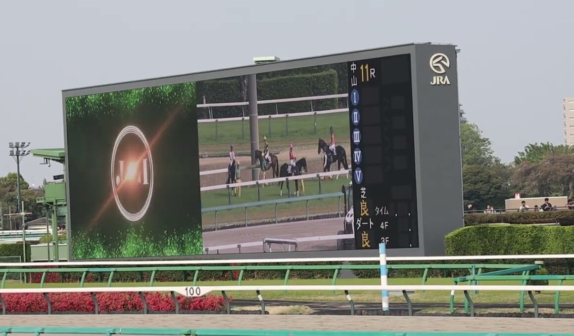 【現地】2025年 中山グランドジャンプ (J・GI)ファンファーレ Starting seen of "Nakayama Grand Jump".