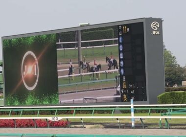 【現地】2025年 中山グランドジャンプ (J・GI)ファンファーレ Starting seen of "Nakayama Grand Jump".