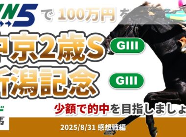 【WIN5で100万円感想戦編】2025年8月31日（日）中京2歳S・新潟記念【競馬】