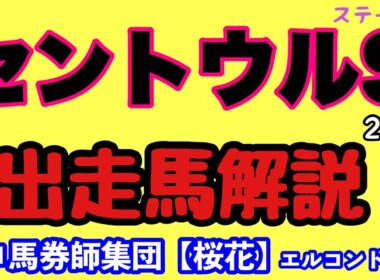エルコンドル氏のセントウルステークス2025出走馬解説！！サマースプリントシリーズ最終戦！そして秋の大一番スプリンターズステークスを見据えて注目の一戦！