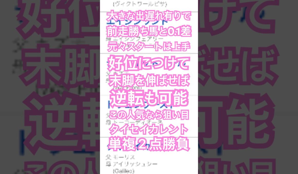 朝日杯フューチュリティステークス2024 予想 #メチャクチャ良く当たると穴党に人気の競馬予想家