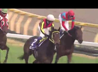 2011年 ジャパンカップ（GⅠ）  ブエナビスタ
