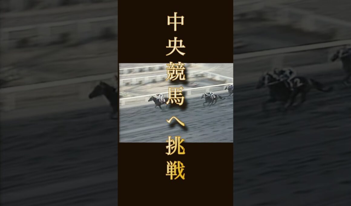 【芦毛の怪物】オグリキャップ🏇 #競馬 #有馬記念#オグリキャップ#芦毛#芦毛の怪物#サラブレッド#地方競馬#笠松競馬#昭和#平成#武豊騎手