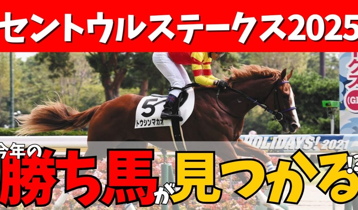 【セントウルステークス 2025】秋到来🍂🏇スプリンターズの前哨戦を制するのは？2強ムードにカロリーさんの気になる馬はこちら🌟#競馬