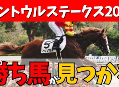 【セントウルステークス 2025】秋到来🍂🏇スプリンターズの前哨戦を制するのは？2強ムードにカロリーさんの気になる馬はこちら🌟#競馬