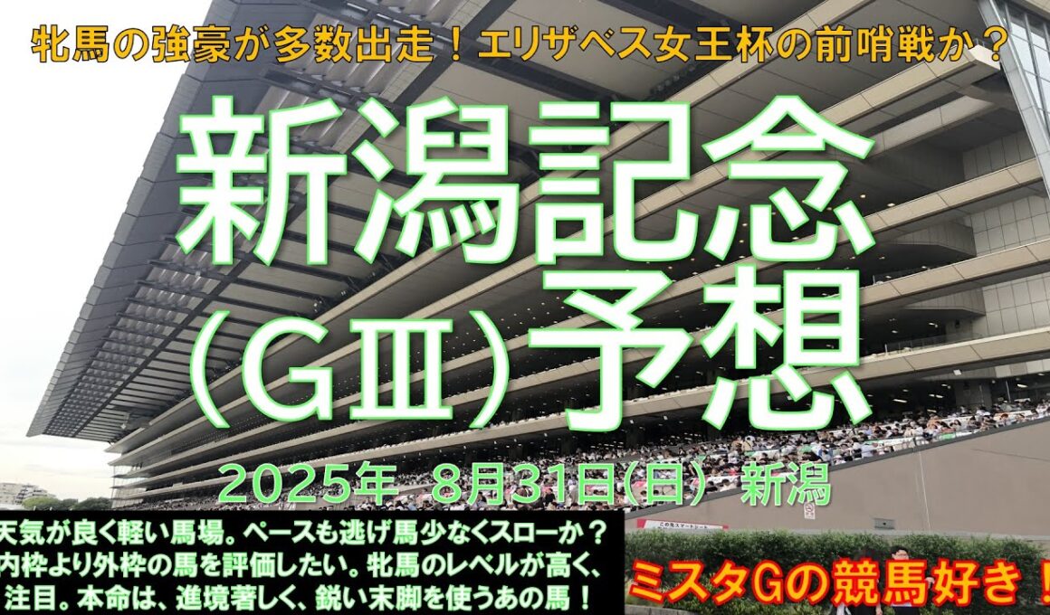 【新潟記念】牝馬の強豪が多数出走！エリザベス女王杯の前哨戦か？＃エネルジコ＃シランケド＃クイーンズウォーク＃ブレイディヴェーグ（8月31日新潟11R）