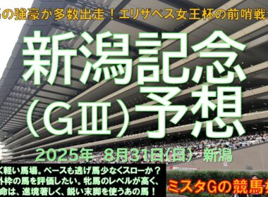 【新潟記念】牝馬の強豪が多数出走！エリザベス女王杯の前哨戦か？＃エネルジコ＃シランケド＃クイーンズウォーク＃ブレイディヴェーグ（8月31日新潟11R）