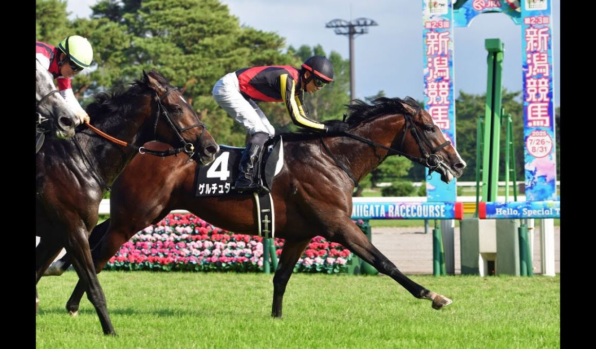 20250830 競馬ﾚｰｽﾄﾋﾟｯｸ　06【菊花賞王道ローテ快勝！】'25日本海S T2200 16下 ゲルチュタール