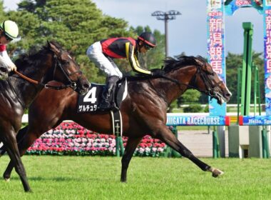 20250830 競馬ﾚｰｽﾄﾋﾟｯｸ　06【菊花賞王道ローテ快勝！】'25日本海S T2200 16下 ゲルチュタール