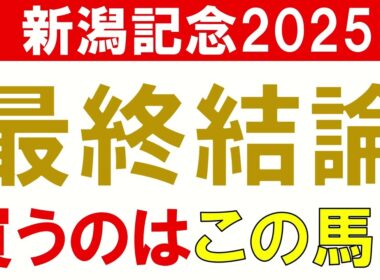 新潟記念2025 予想 最終結論　買いたい馬1頭！　混戦模様のG3だからこそ買いたい馬