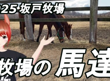 2025 坂戸牧場 牧場の馬達 なんでお前が…