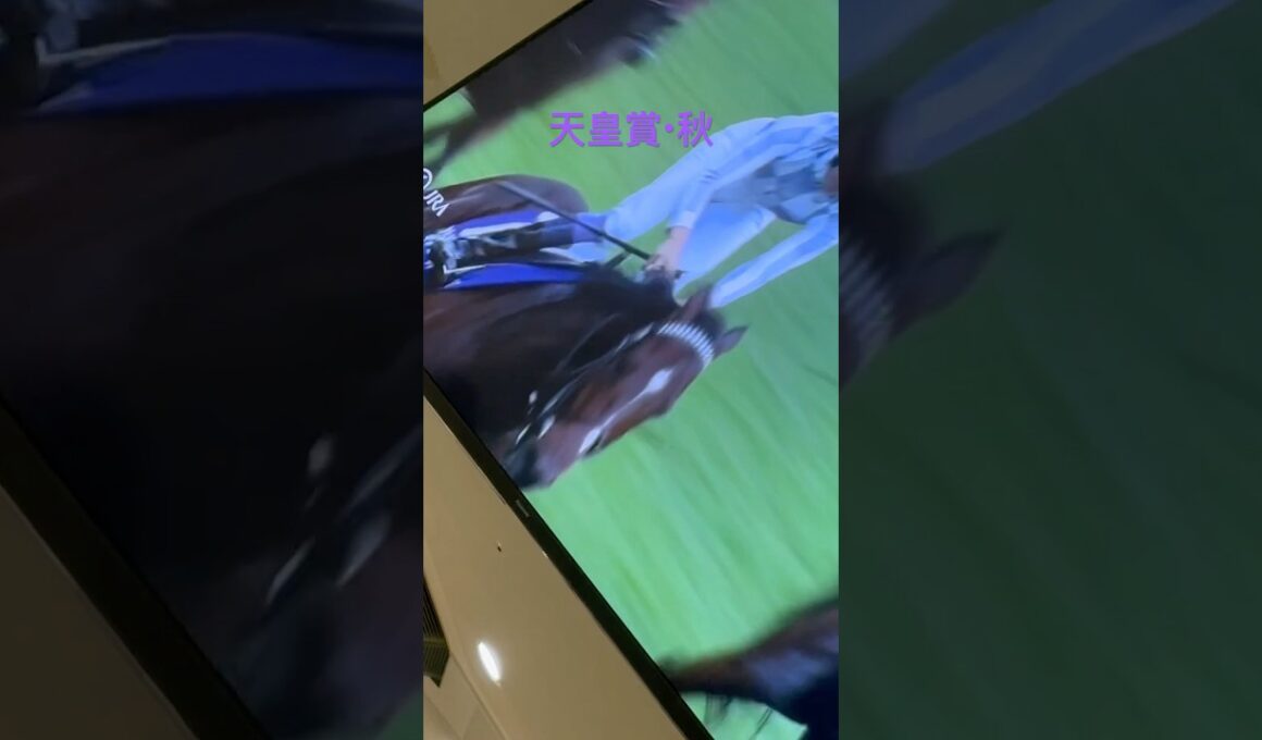 天皇賞・秋  ドウデュース