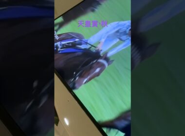 天皇賞・秋  ドウデュース