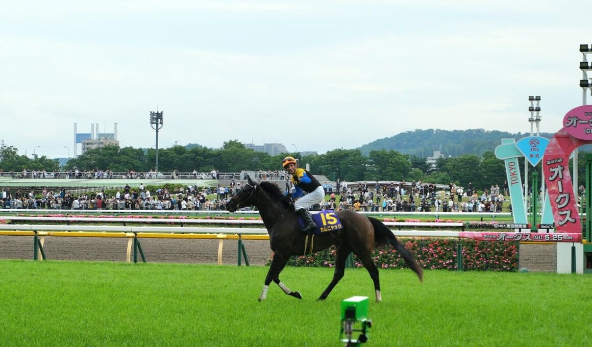 2025/5/25 東京競馬場 東京11R 優駿牝馬 オークス ゴール板前 1着カムニャック 2着アルマヴェローチェ 3着タガノアビー