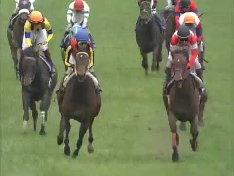 2009年 オークス（JpnI）  ブエナビスタ