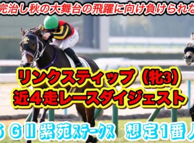 【リンクスティップ】GⅡ紫苑ステークス想定1番人気！桜花賞3着馬の近4走レースダイジェスト