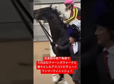 暴れるクイーンズウォークを余裕で抑える川田将雅騎手！#ヴィクトリアマイル #川田将雅