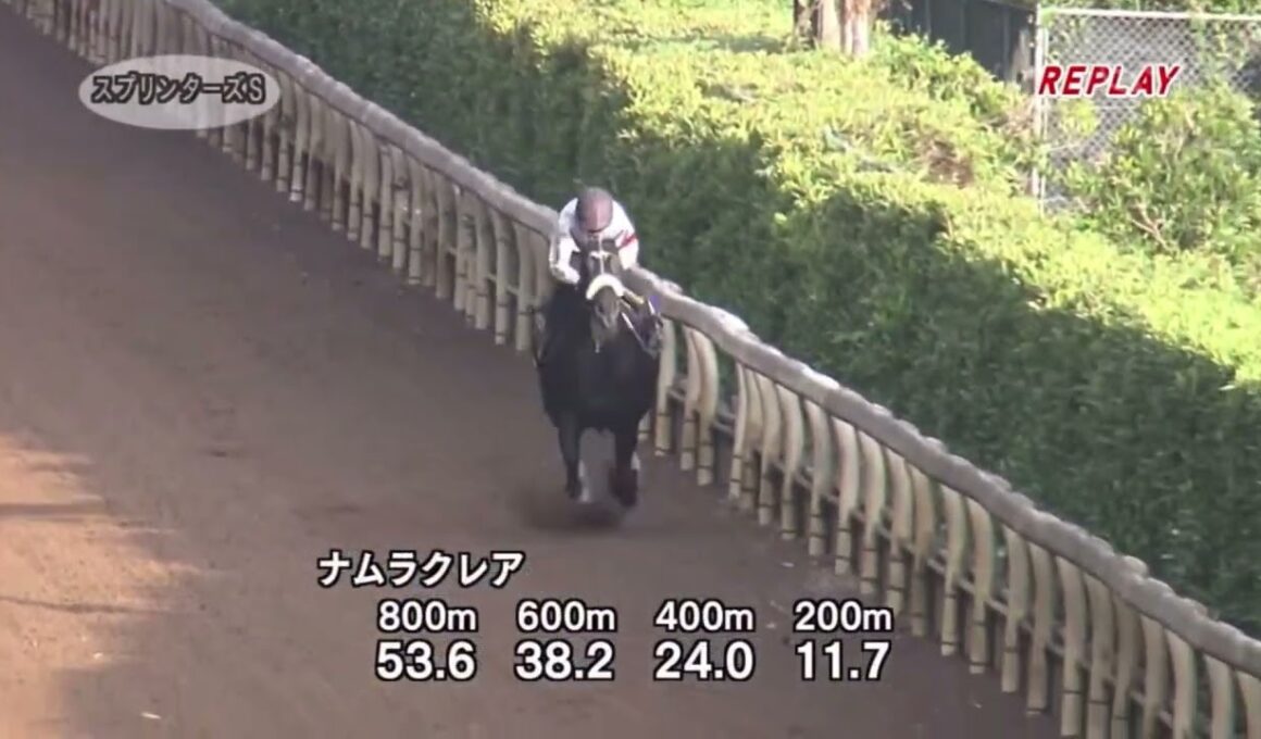 スプリンターズステークス2024