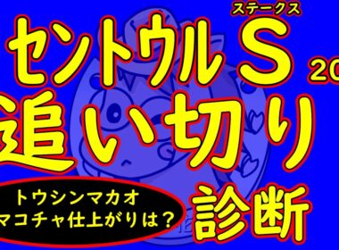 セントウルステークス2025追い切り診断！スプリンターズステークスの前哨戦にてトウシンマカオとママコチャの仕上げはどうか？状態面の良い馬を含め各場の仕上がりを評価する！