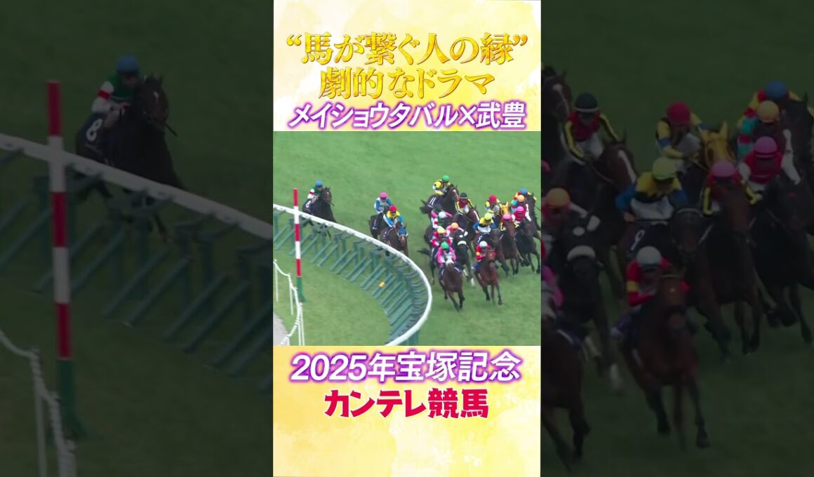 #競馬 #宝塚記念  #メイショウタバル  #武豊