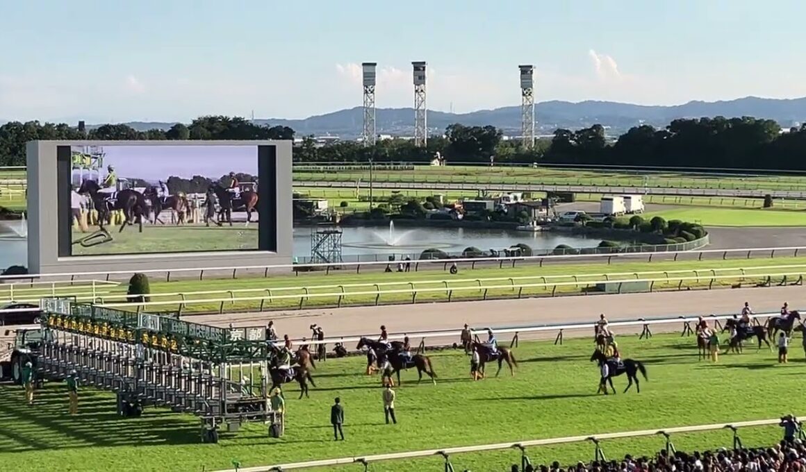 2024秋華賞G1 発送前輪乗り