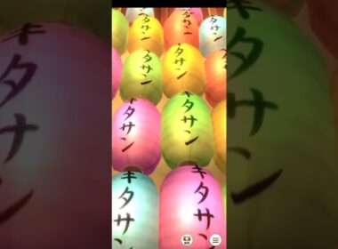 ウマ娘 プリティーダービー [レジェンドレース] VS花嫁ファイン【秋華賞】