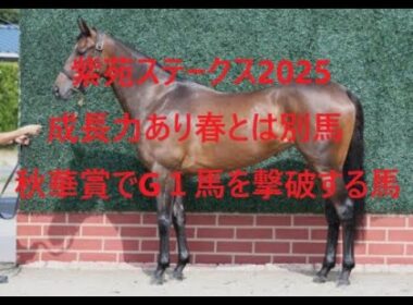 紫苑ステークス 2025 成長力あり春とは別馬 秋華賞でエンブロイダリー、カムニャック、アルマヴェローチェを破る馬