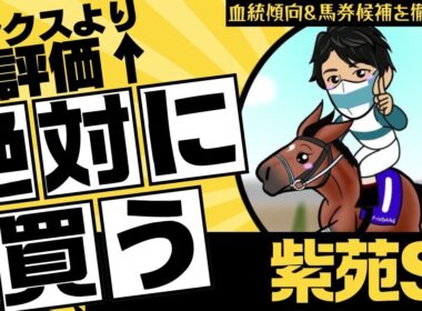 【紫苑ステークス2025】リンクスティップよりも”買いたい”1頭！ここで結果を残せれば「秋華賞」でも絶対買う馬とは