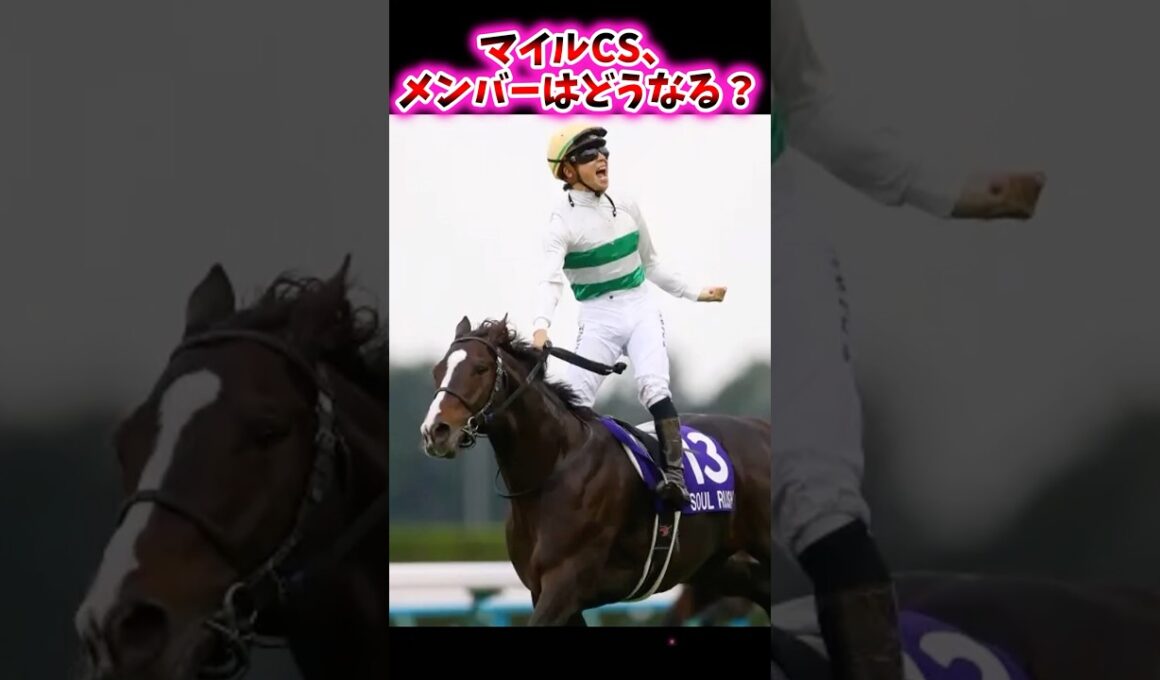マイルCS、メンバーはどうなる？【競馬反応集】 #マイルチャンピオンシップ #ソウルラッシュ #ジャンタルマンタル