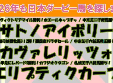 2026年も日本ダービー馬を探します #12　サトノアイボリー、カヴァレリッツォ、エリプティクカーブを注目馬として取り上げました。