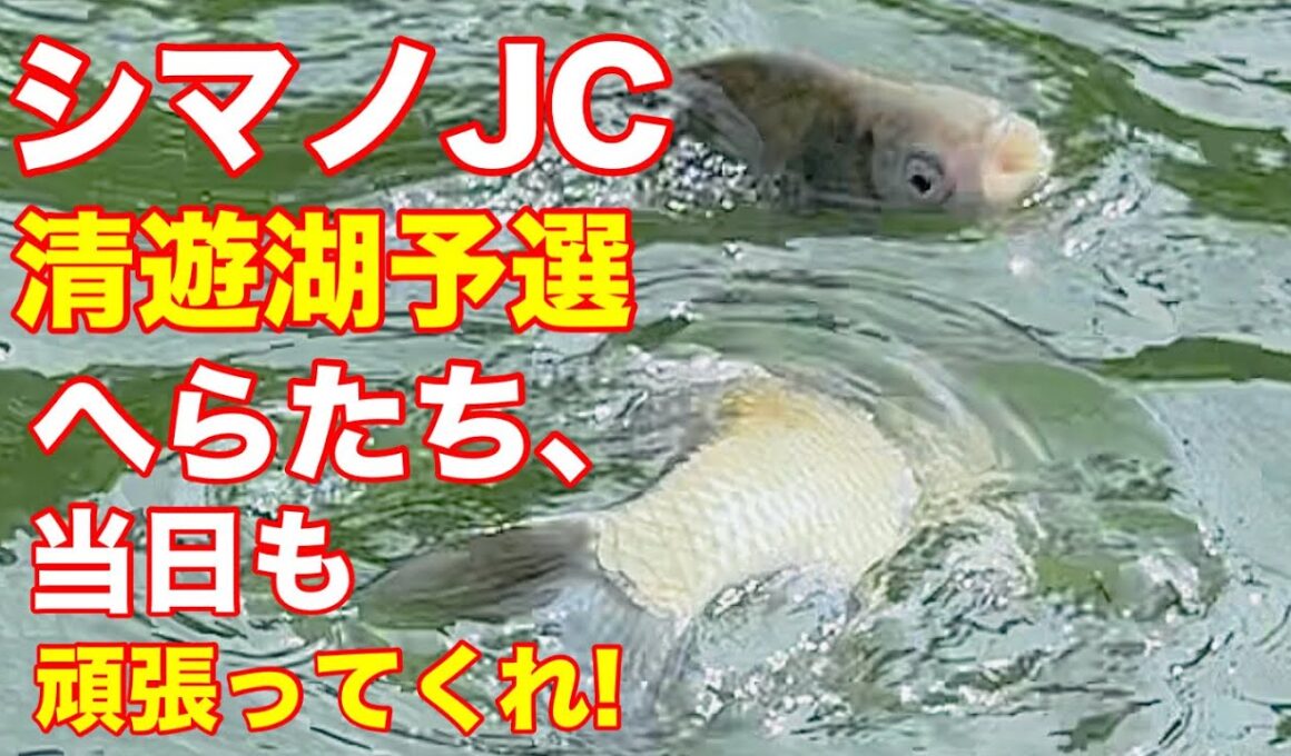 【清遊湖】シマノジャパンカップへら　予選突破のためのプラの様子をお伝え　選手も頑張る　頼む、へらも何とか頑張ってくれ