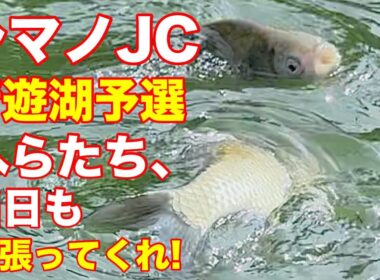 【清遊湖】シマノジャパンカップへら　予選突破のためのプラの様子をお伝え　選手も頑張る　頼む、へらも何とか頑張ってくれ
