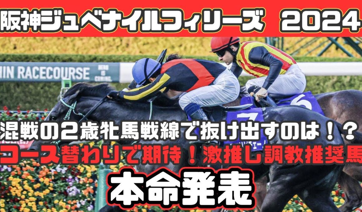 【阪神ジュベナイルフィリーズ2024】激推し調教推奨【本命発表】