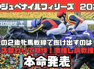 【阪神ジュベナイルフィリーズ2024】激推し調教推奨【本命発表】