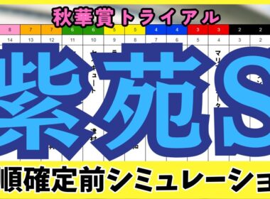 【紫苑ステークス2025】枠順確定前シミュレーション  秋華賞への切符をつかむのは誰だ？