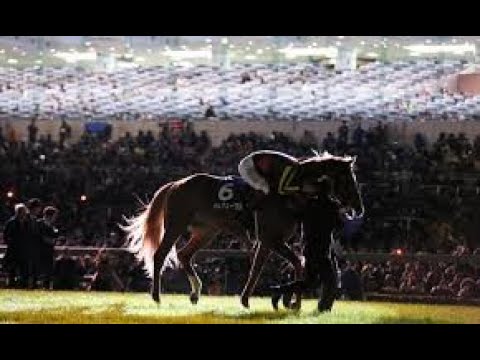 2013年 有馬記念（GⅠ）  オルフェーヴル 　ラストラン