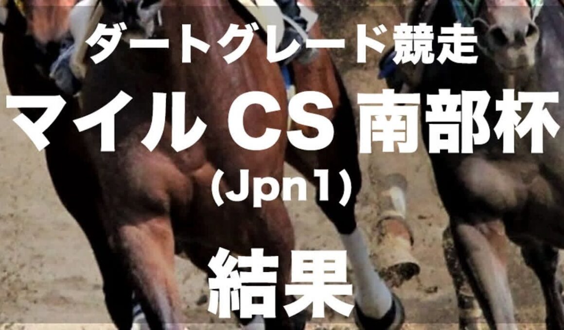 【盛岡・マイルチャンピオンシップ南部杯2024】レモンポップが単勝1.1倍の支持に応え、連覇&Jpn1連勝を達成!｜競馬ニュース｜競馬予想のウマニティ