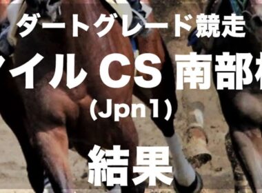 【盛岡・マイルチャンピオンシップ南部杯2024】レモンポップが単勝1.1倍の支持に応え、連覇&Jpn1連勝を達成!｜競馬ニュース｜競馬予想のウマニティ