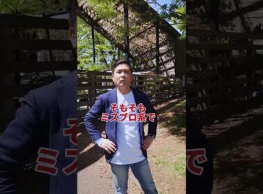 ミスプロ系と有馬記念　#shorts #競馬