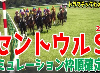 【セントウルステークス2025】シミュレーション枠順確定版【ドラマチックカメラVer.】サマースプリント最終戦でありスプリンターズステークスのステップとして重要レース！実績か！？勢いか！？【競馬予想】