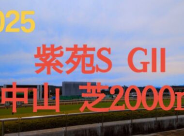 【紫苑ステークス  2025】牝馬3冠ラストを飾る秋華賞のトライアルレース‼︎春先に期待されていた馬の逆襲の秋が始まる‼︎  競馬予想チャンネル
